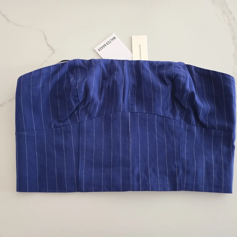 NWT Walter Baker Tanvi Strapless Bustier Top
